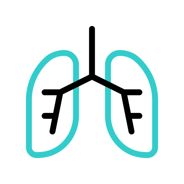 Respiration Icon